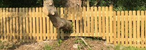 Garden Fencing