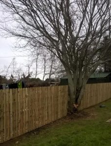 PRESSURE-TREATED-ROUND-TOP-PICKET-FENCE