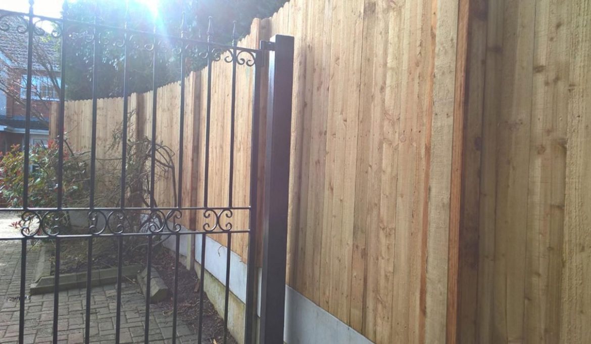 Maudlings-Naas-old-fence-rejuvenated
